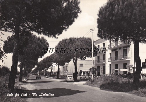 Lido dei pini - lido,