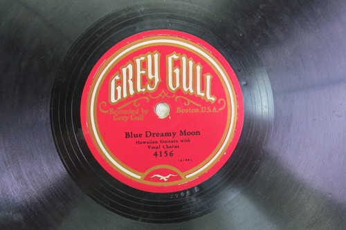 Hawaiian guitars grey gull - hawaiian,