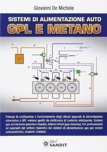 Libro michele giovanni - michele,