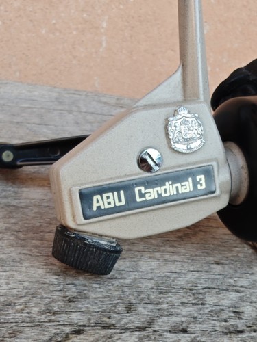 Abu cardinal - abu,