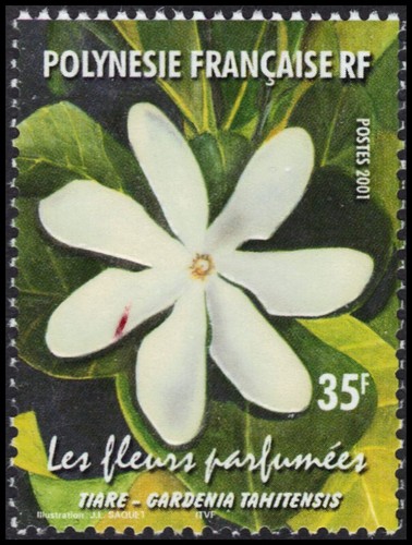 Polinesia francese 812 - 812,