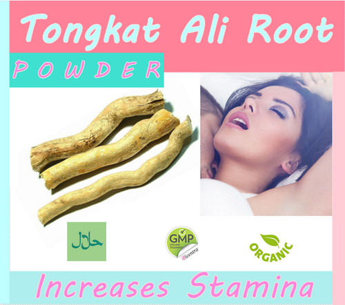 Tong kat radice in - tong_kat,