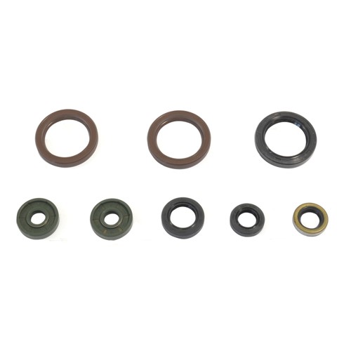 Serie paraoli motore - paraoli, exc