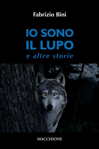 Libro fabrizio bini - libro,