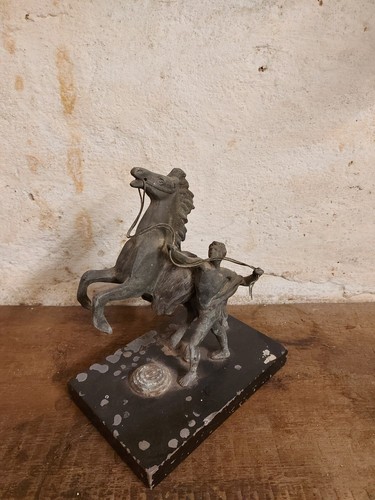 Cavallo imbizzarrito - cavallo, e
