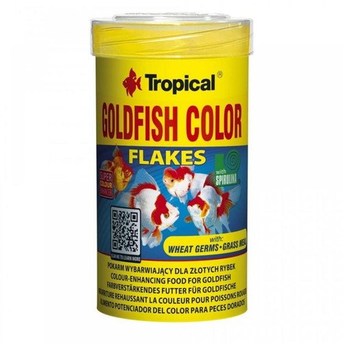 Tropical goldfish color - goldfish,