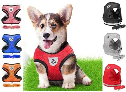 Imbracatura per cani gatti - imbracatura,