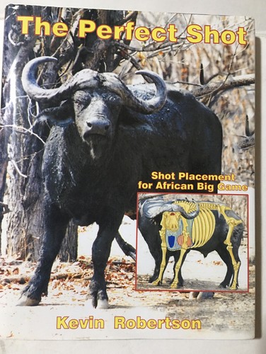 The perfect shot - perfect,