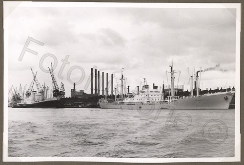 Foto olanda rotterdam porto - olanda,