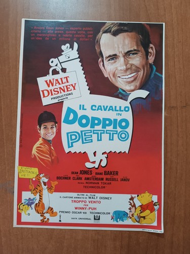 Locandina videoteca cavallo - il,