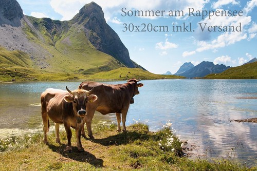 Leinwandbild aus oberstdorf - leinwandbild,