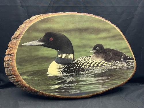 Vintage fetta legno loon - vintage, di
