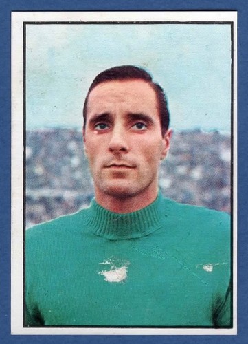 Figurina calciatori panini - calciatori,