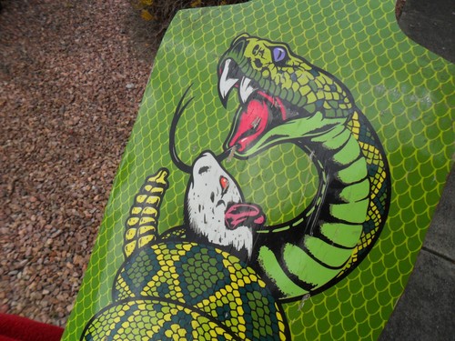 Lax zion longboard 42x10 - ""zion"", 42x10"