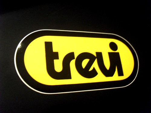 Adesivi sticker trevi - /,
