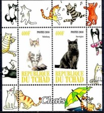 Gatti Animali Nebbia Animali Domestici Norvegesi m/s MNH