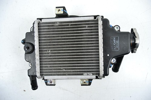 Radiatore acqua piaggio medley - radiatore,