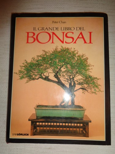 Peter chan grande libro - libro, del