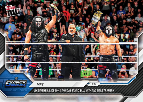 Topps wwe wrestling 2026 - wwe,