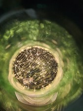 DAMIGIANA DI VETRO 54 LITRI GIARDINO DECORAZIONE ARREDAMENTO CON SERIE MINI LUCI