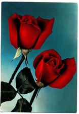 Cartolina 2284. Fiori. Rose