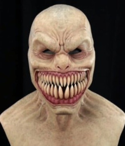 Maschera testa intera