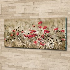 Quadro immagine arte da parete