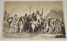 1881 magazine engraving ~