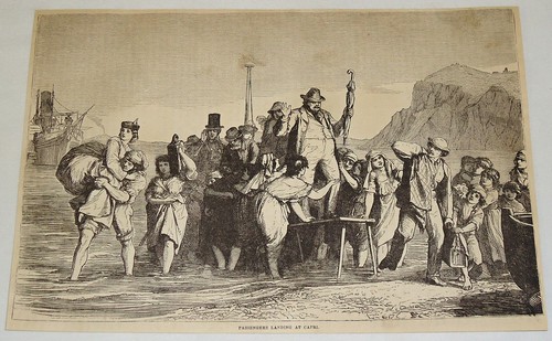 1881 rivista incisione - 1881, ~