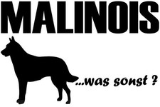 ADESIVO MALINOIS sticker
