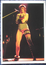 DAVID BOWIE ZIGGY STARDUST FOTO REX FEATURES TRATTA DA PHOTO BOOK MAX DEL 1990