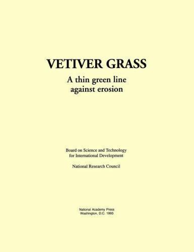 Vetiver grass thin green - thin,