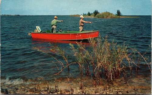 Cartolina pesca acqua dolce - cartolina,