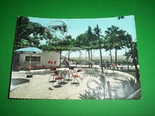 Postcard Scansano (Grosseto) -