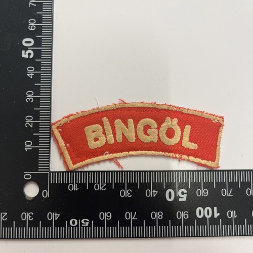 Boy scout badge turkish - scout,