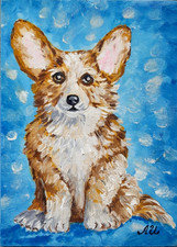 Carino corgi cane - carino,