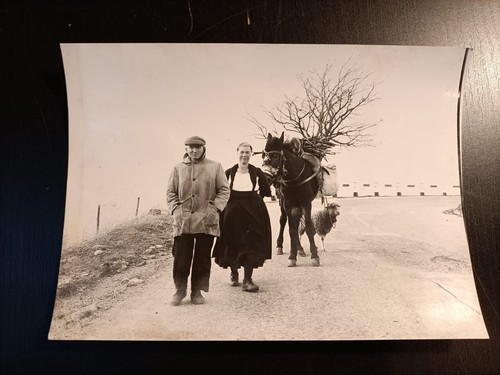 Foto storica lucania persone - foto, lucania,