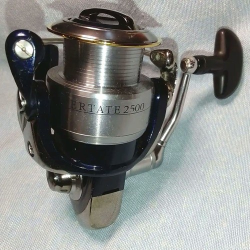 Mulinello spinning daiwa - spinning,