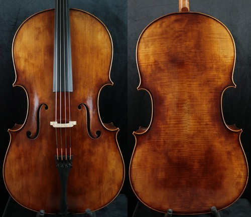 Violoncello fine master fatto - master,