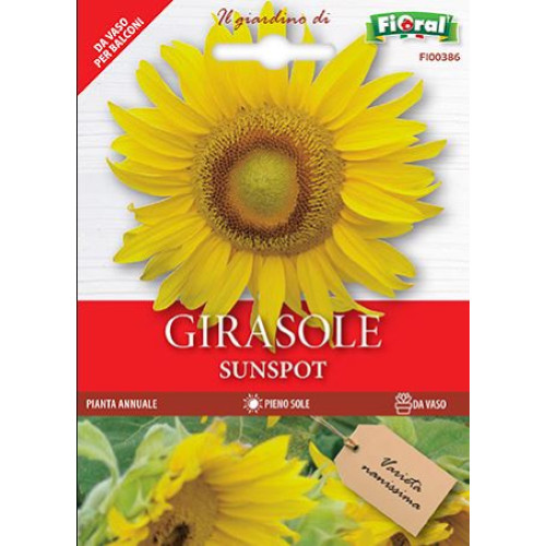 Girasole sunspot semi - in,
