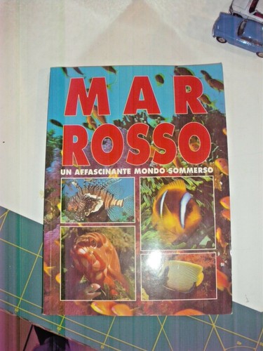 Mar rosso affascinante - mar, un