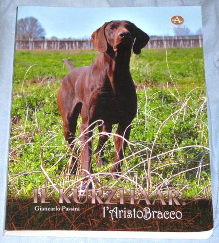 Kurzhaar aristobracco - il,