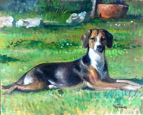 Cane giacomo vaccaro x - cm, 25
