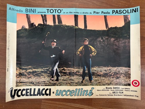 25s fotobusta uccellacci - 25s,fotobusta,uccellacci, e