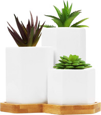 Vasi Ceramica per Piante