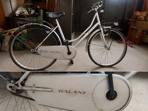 Bicicletta donna vintage - bicicletta,