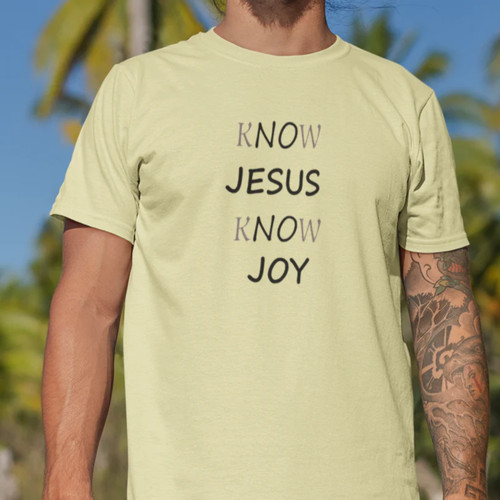 Shirt next level 3600 - level,