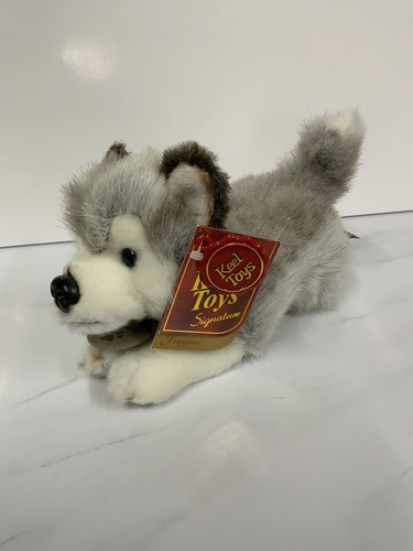 Nuovo storm siberian husky - storm,