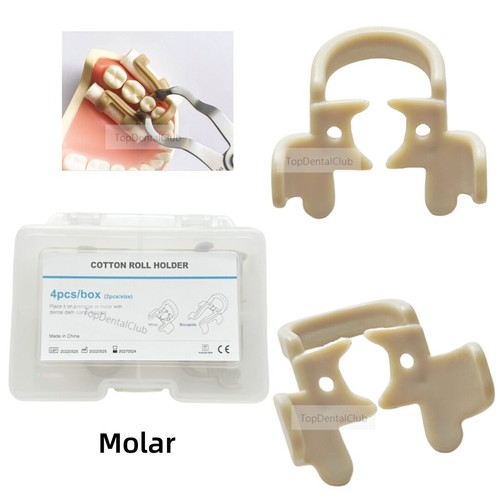 Clip molare umidità dentale - molare,