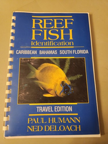 Reef fish identification - reef,